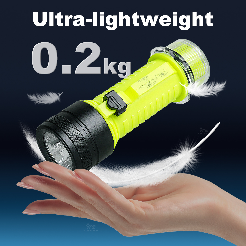 Новый портативный профессионал – обзор и цена Fishing Light